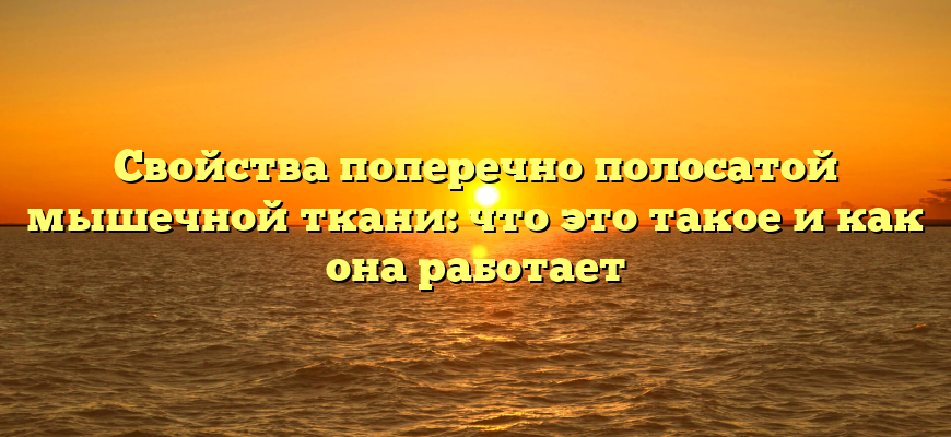 Свойства поперечно полосатой мышечной ткани: что это такое и как она работает