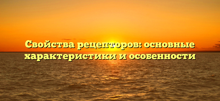 Свойства рецепторов: основные характеристики и особенности