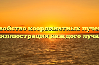 Свойство координатных лучей: иллюстрация каждого луча