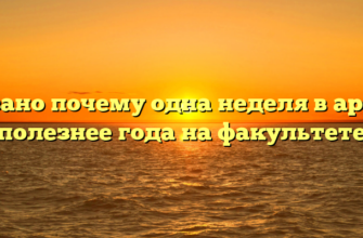 Связано почему одна неделя в армии полезнее года на факультете