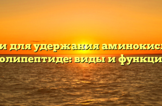 Связи для удержания аминокислот в полипептиде: виды и функции