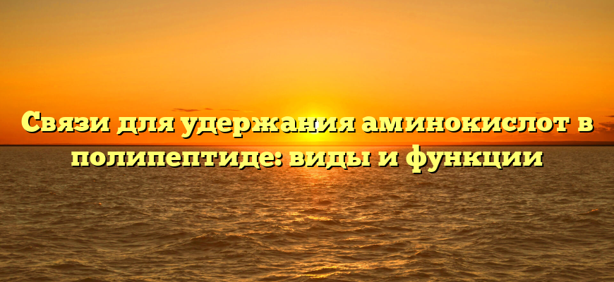 Связи для удержания аминокислот в полипептиде: виды и функции