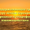 Связи поддерживающие третичную структуру белка: перекрестные, водородные и гидрофобные взаимодействия