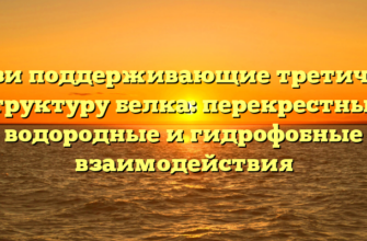 Связи поддерживающие третичную структуру белка: перекрестные, водородные и гидрофобные взаимодействия