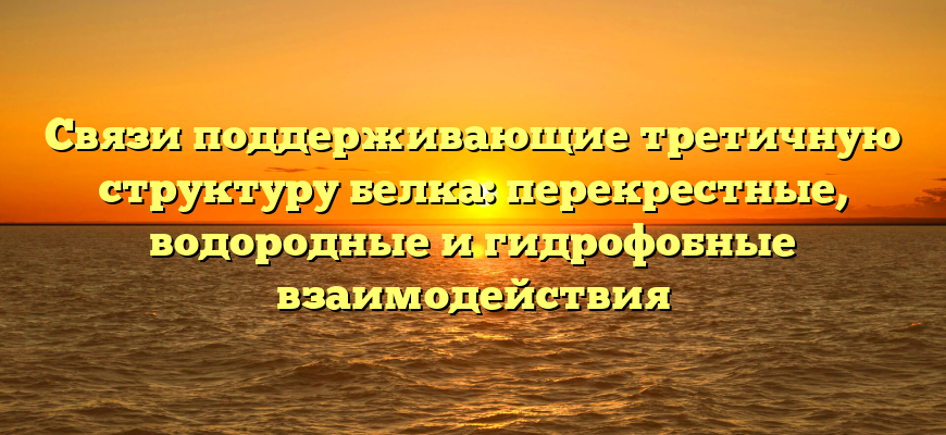 Связи поддерживающие третичную структуру белка: перекрестные, водородные и гидрофобные взаимодействия