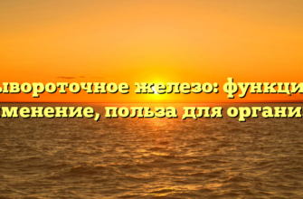 Сывороточное железо: функции, применение, польза для организма