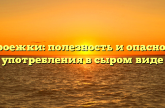 Сыроежки: полезность и опасности употребления в сыром виде