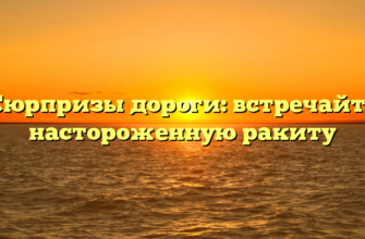 Сюрпризы дороги: встречайте настороженную ракиту