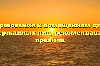 Требования к помещениям для задержанных лиц: рекомендации и правила