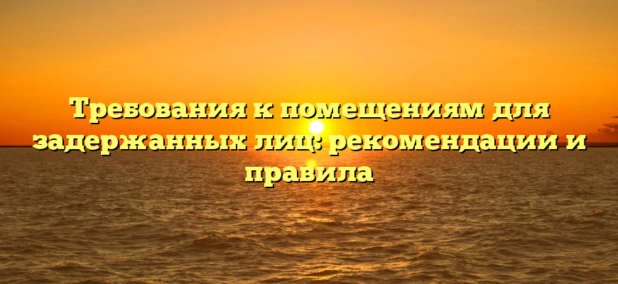 Требования к помещениям для задержанных лиц: рекомендации и правила