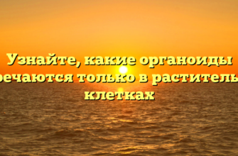 Узнайте, какие органоиды встречаются только в растительных клетках