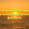 Узнайте о незамкнутой кровеносной системе у животных: особенности и функции