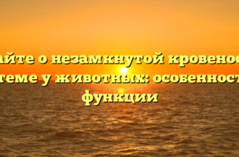 Узнайте о незамкнутой кровеносной системе у животных: особенности и функции