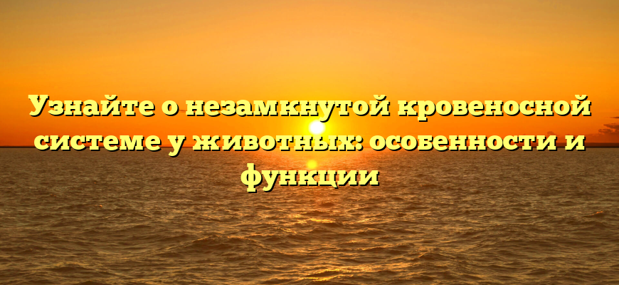 Узнайте о незамкнутой кровеносной системе у животных: особенности и функции