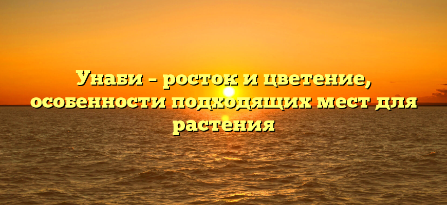 Унаби – росток и цветение, особенности подходящих мест для растения