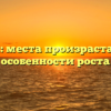 Унаби: места произрастания и особенности роста