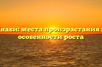 Унаби: места произрастания и особенности роста