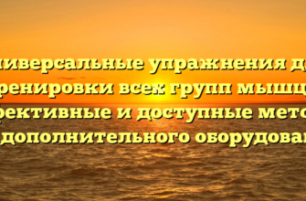 Универсальные упражнения для тренировки всех групп мышц — эффективные и доступные методы без дополнительного оборудования