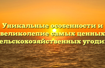 Уникальные особенности и великолепие самых ценных сельскохозяйственных угодий