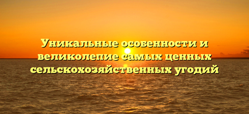 Уникальные особенности и великолепие самых ценных сельскохозяйственных угодий