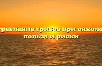 Употребление грибов при онкологии: польза и риски