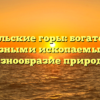 Уральские горы: богатство полезными ископаемыми и разнообразие природы