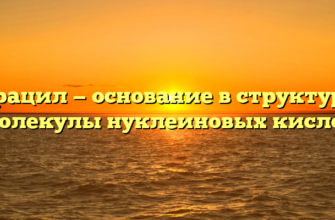 Урацил — основание в структуре молекулы нуклеиновых кислот