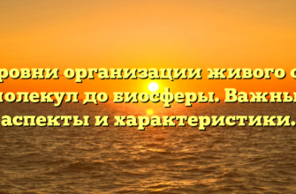 Уровни организации живого от молекул до биосферы. Важные аспекты и характеристики.