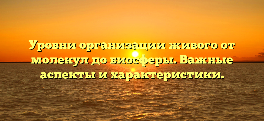 Уровни организации живого от молекул до биосферы. Важные аспекты и характеристики.