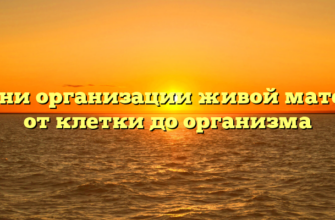 Уровни организации живой материи от клетки до организма