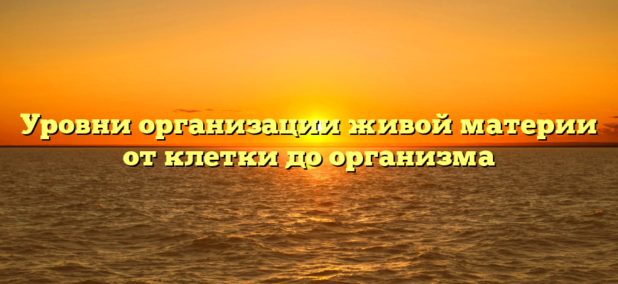 Уровни организации живой материи от клетки до организма