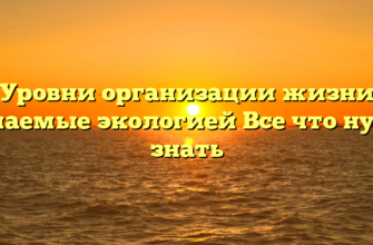 Уровни организации жизни изучаемые экологией Все что нужно знать