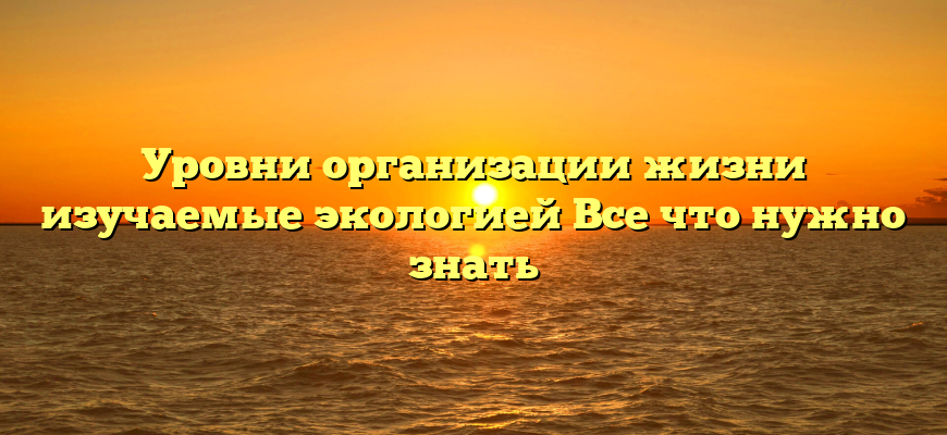 Уровни организации жизни изучаемые экологией Все что нужно знать