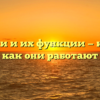 Урядники и их функции — кто они и как они работают