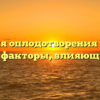 Условия оплодотворения у мхов: процесс и факторы, влияющие на него