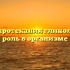 Условия протекания гликолиза и его роль в организме