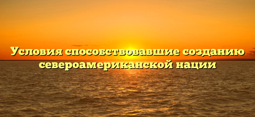 Условия способствовавшие созданию североамериканской нации