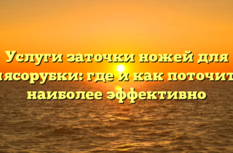 Услуги заточки ножей для мясорубки: где и как поточить наиболее эффективно