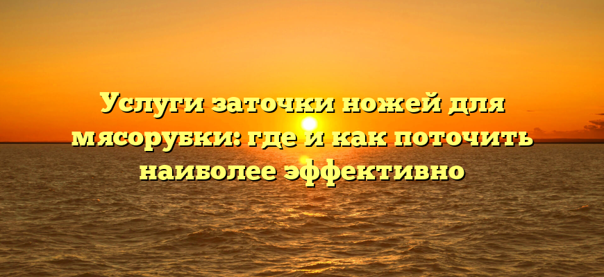 Услуги заточки ножей для мясорубки: где и как поточить наиболее эффективно