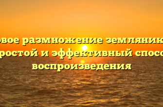 Усовое размножение земляники — простой и эффективный способ воспроизведения