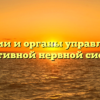 Функции и органы управляемые вегетативной нервной системой