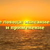 Что такое лобода: описание свойства и применение