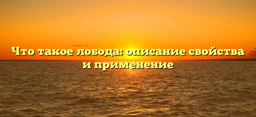 Что такое лобода: описание свойства и применение