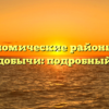 Экономические районы без нефтедобычи: подробный обзор