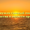 Зачем нужен газовый пистолет. Преимущества и области применения