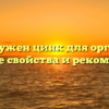 Зачем нужен цинк для организма: полезные свойства и рекомендации