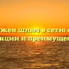 Зачем нужен шлюз в сети: основные функции и преимущества