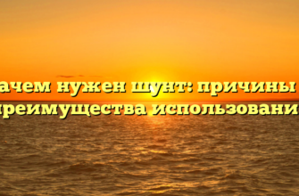 Зачем нужен шунт: причины и преимущества использования