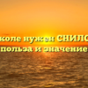 Зачем школе нужен СНИЛС ребенка польза и значение