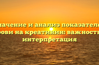 Значение и анализ показателей крови на креатинин: важность и интерпретация